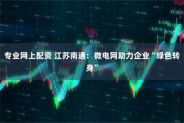 专业网上配资 江苏南通：微电网助力企业“绿色转身”